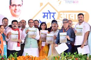 राष्ट्रीय सेवा योजना 